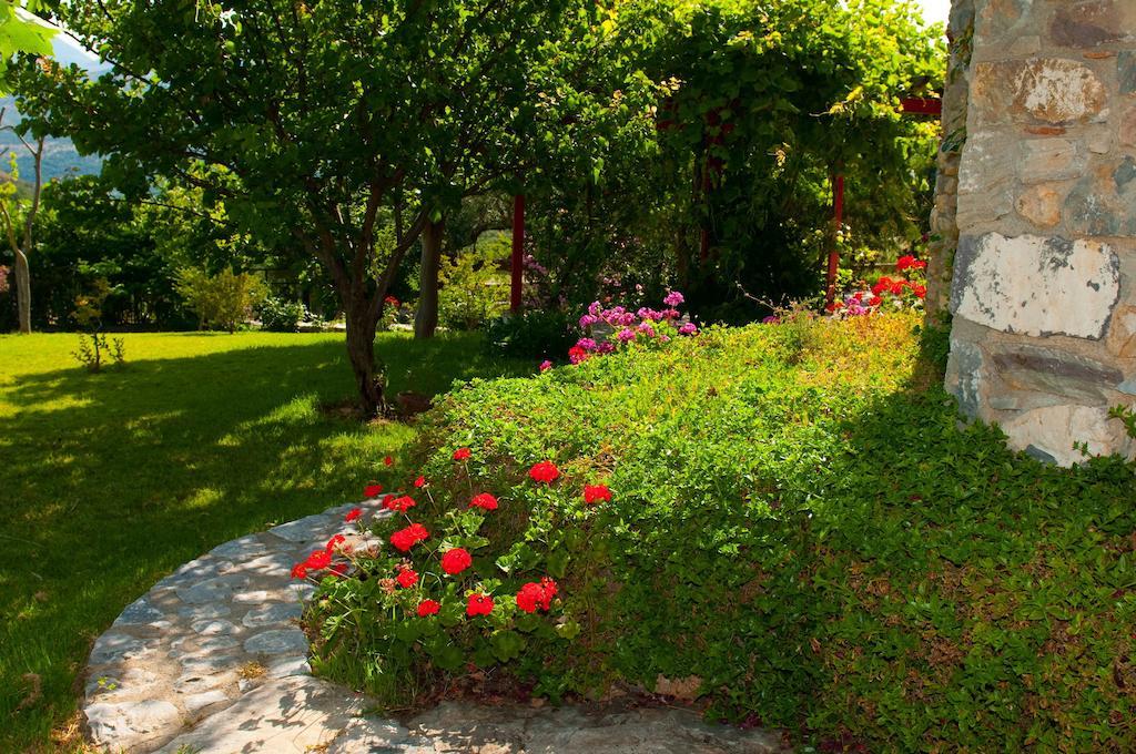 Elise Cottage Vathí Oda fotoğraf