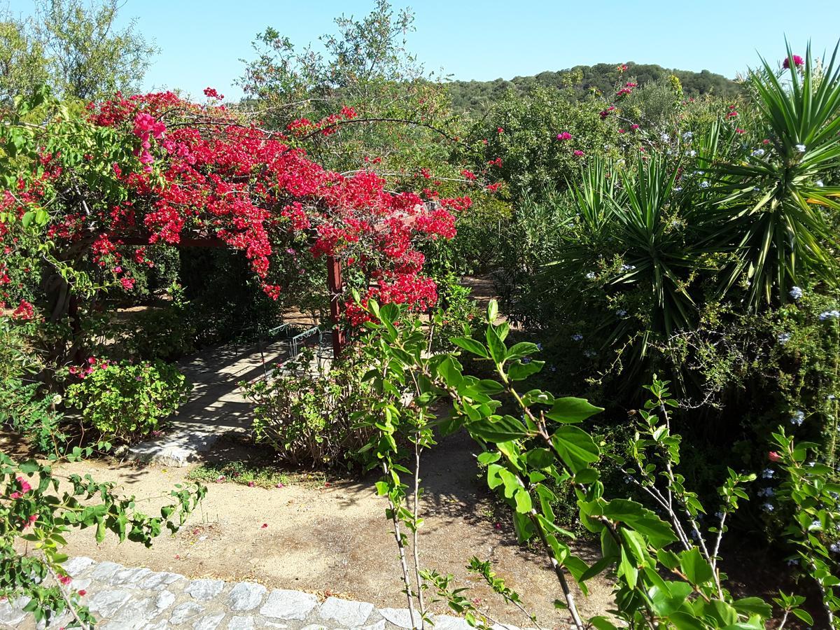 Elise Cottage Vathí Dış mekan fotoğraf